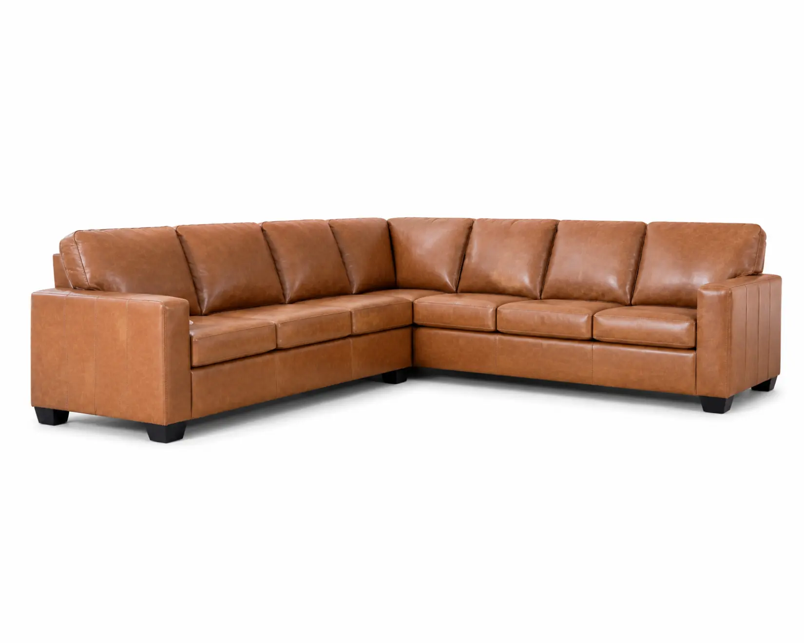 Aspen Sectional Sofa with White Background